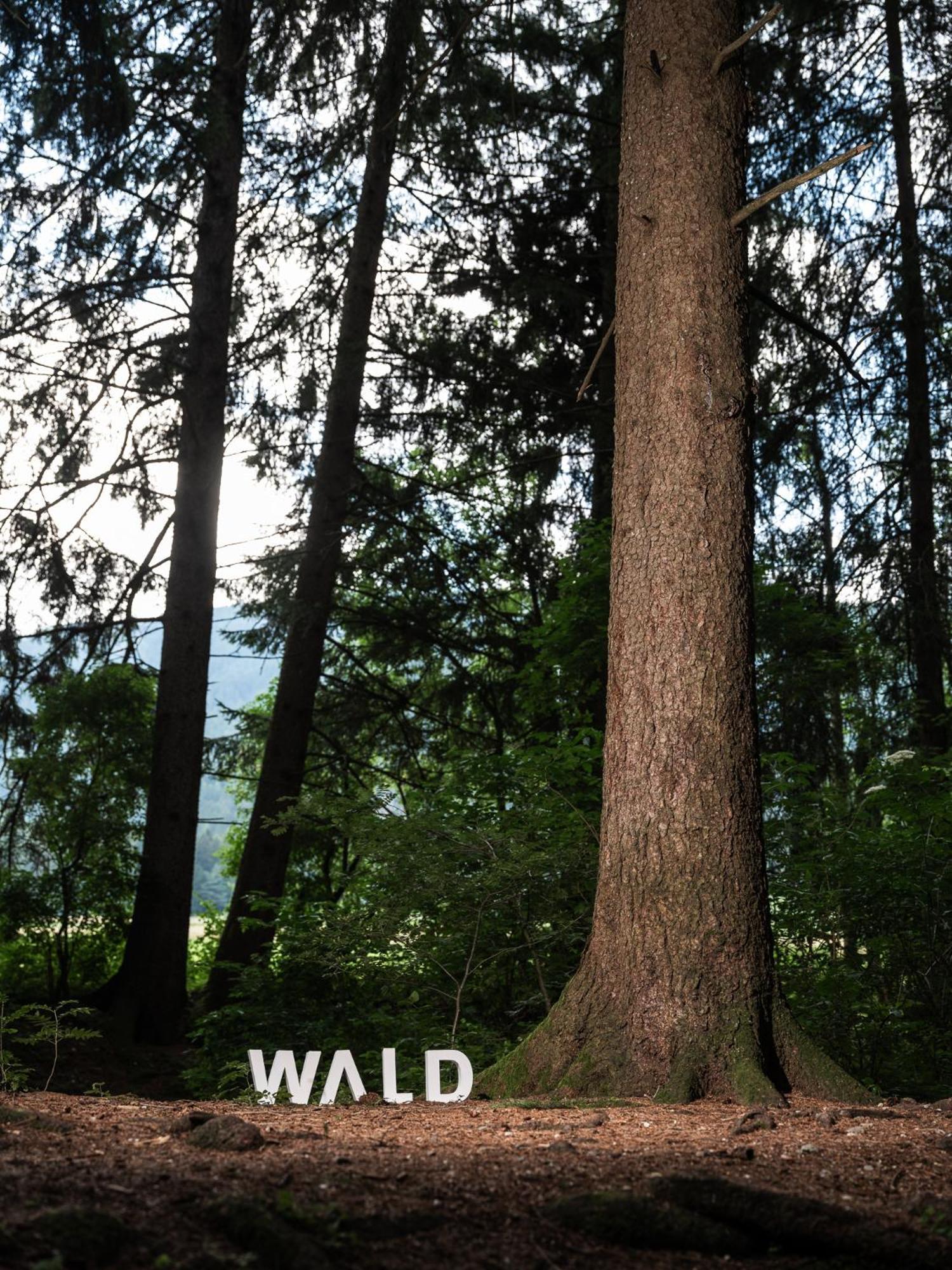 Frida Am Wald Hotell Rasùn di Sotto Eksteriør bilde